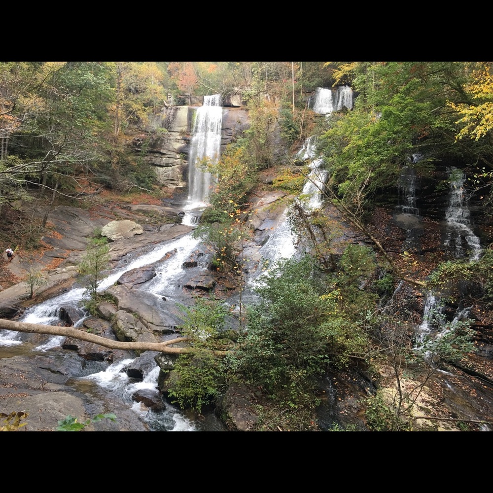 Meet your Posher, Rosanna